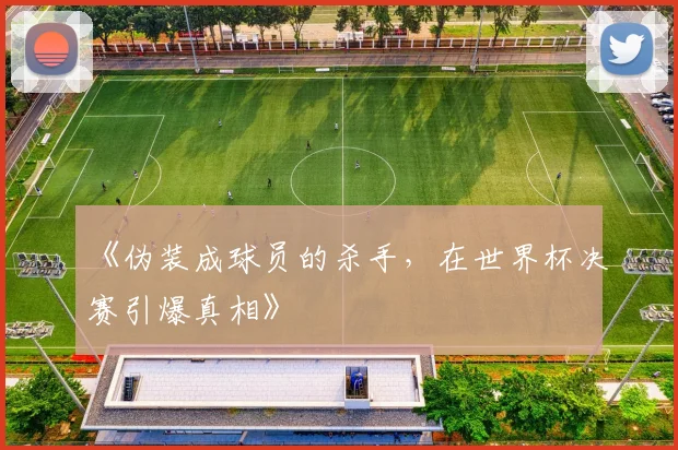 《伪装成球员的杀手，在世界杯决赛引爆真相》