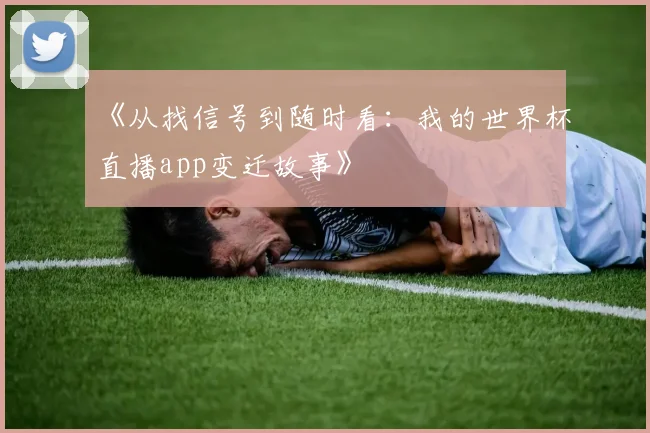 《从找信号到随时看:我的世界杯直播app变迁故事》