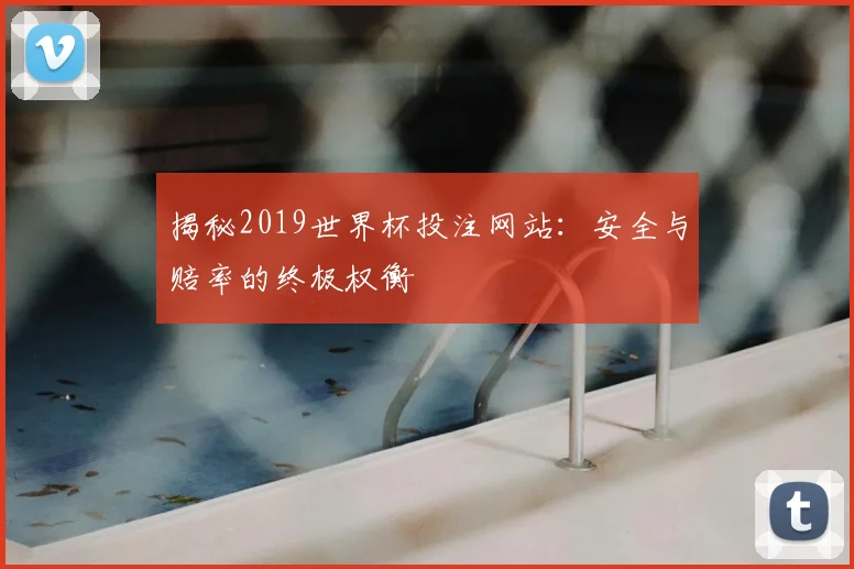 揭秘2019世界杯投注网站：安全与赔率的终极权衡