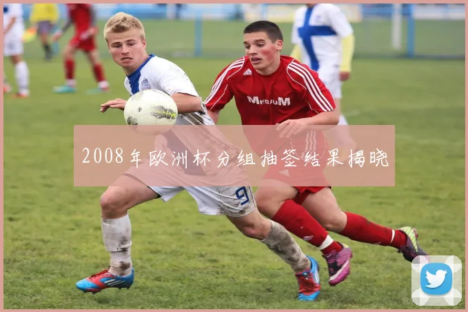 2008年欧洲杯分组抽签结果揭晓