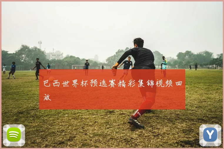 巴西世界杯预选赛精彩集锦视频回放