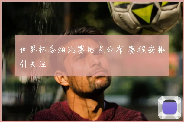 世界杯各组比赛地点公布 赛程安排引关注
