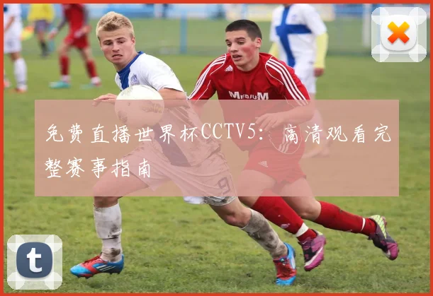 免费直播世界杯CCTV5：高清观看完整赛事指南