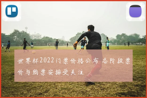 世界杯2022门票价格公布 各阶段票价与购票安排受关注